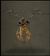 Bard's Tale, Gouger (����������), 18KB
