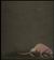 Bard's Tale, Rat (�����), 15KB