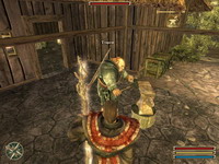 Gothic 3 скриншот, 145KB