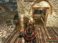 Gothic 3 скриншот, 148KB