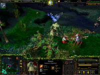 Warcraft 3, ��������, 96KB