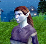 Neverwinter Nights 2     ��������, 102KB