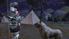 Dragon Age: Начало, скриншот, 173KB